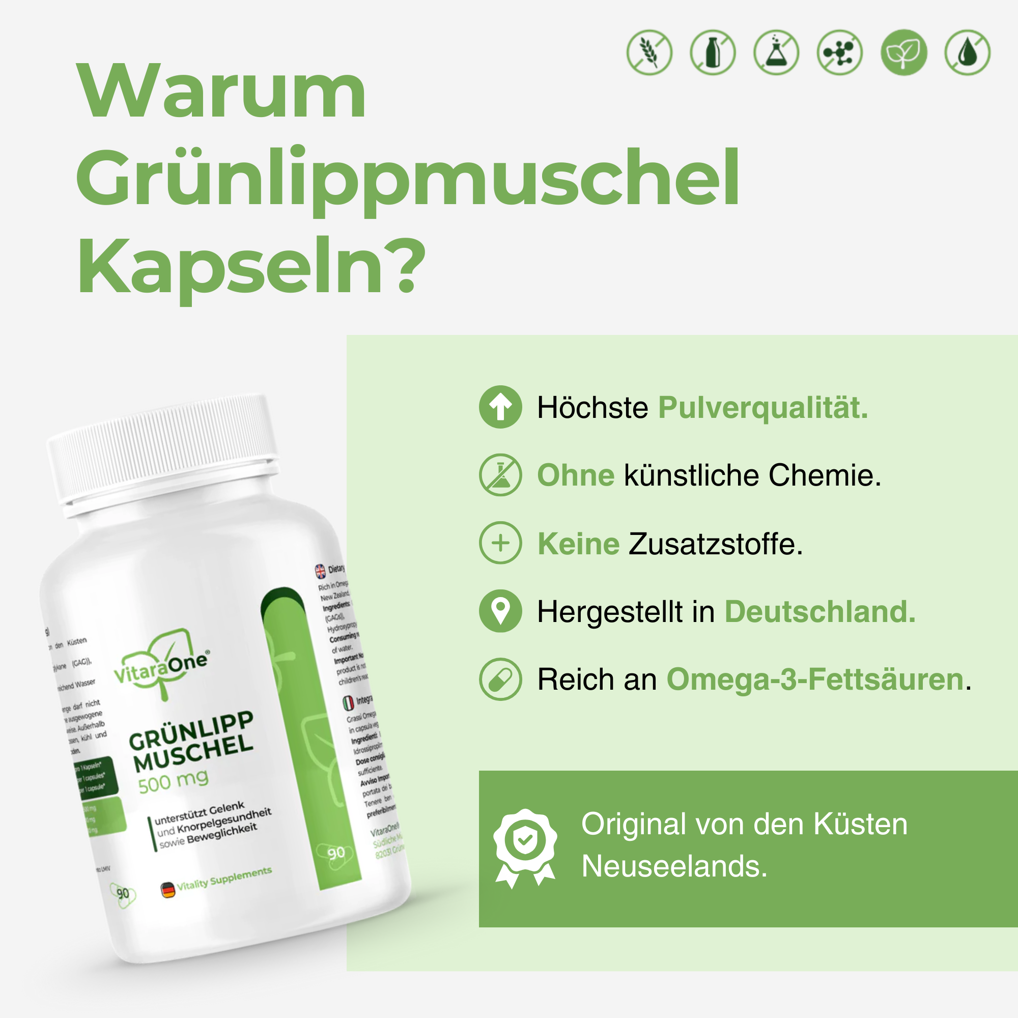 Grünlippmuschel