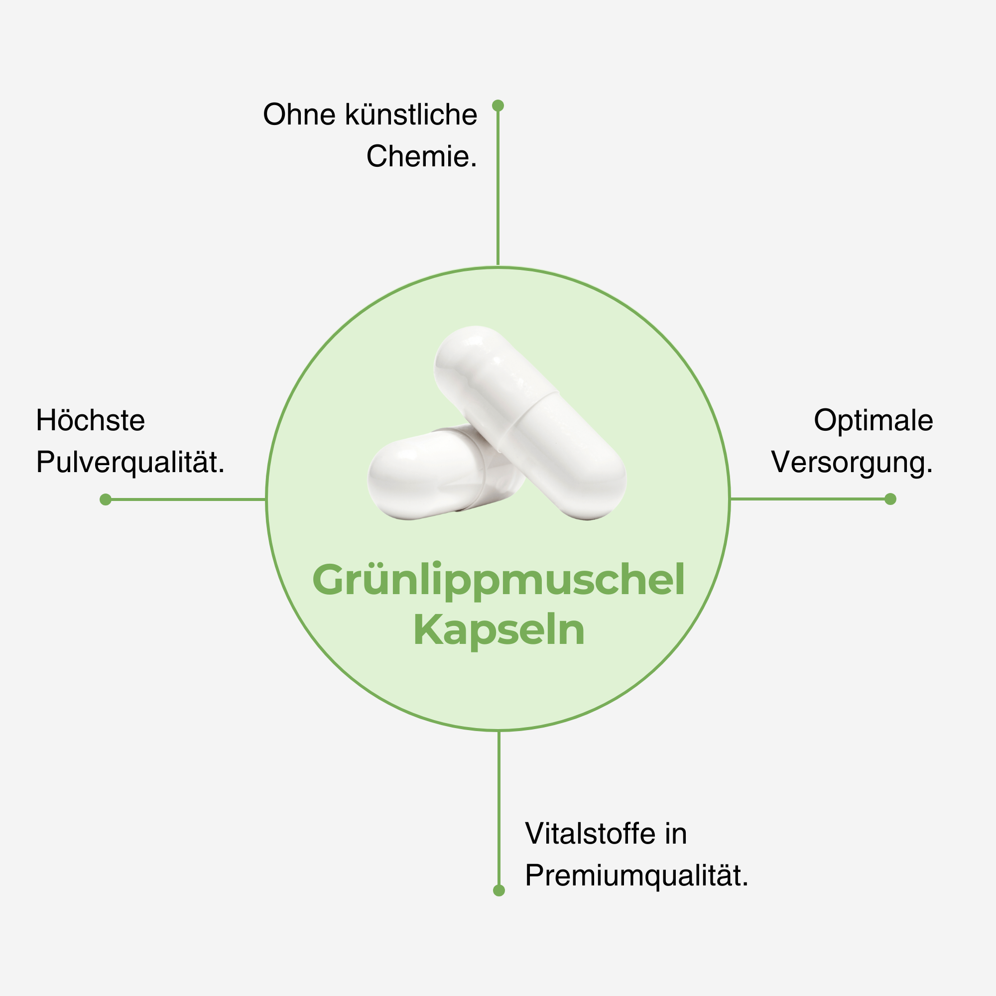 Grünlippmuschel