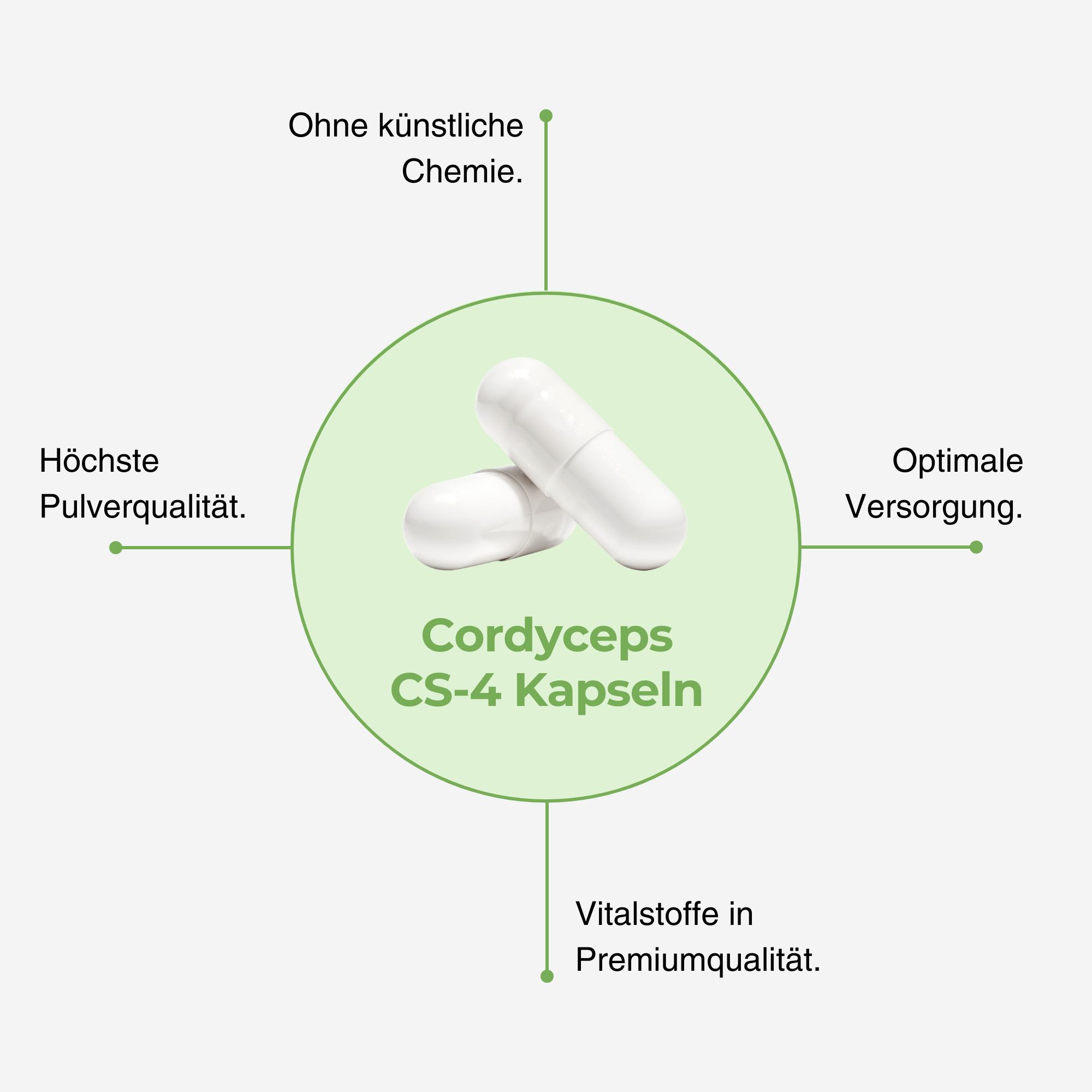 Cordyceps CS-4