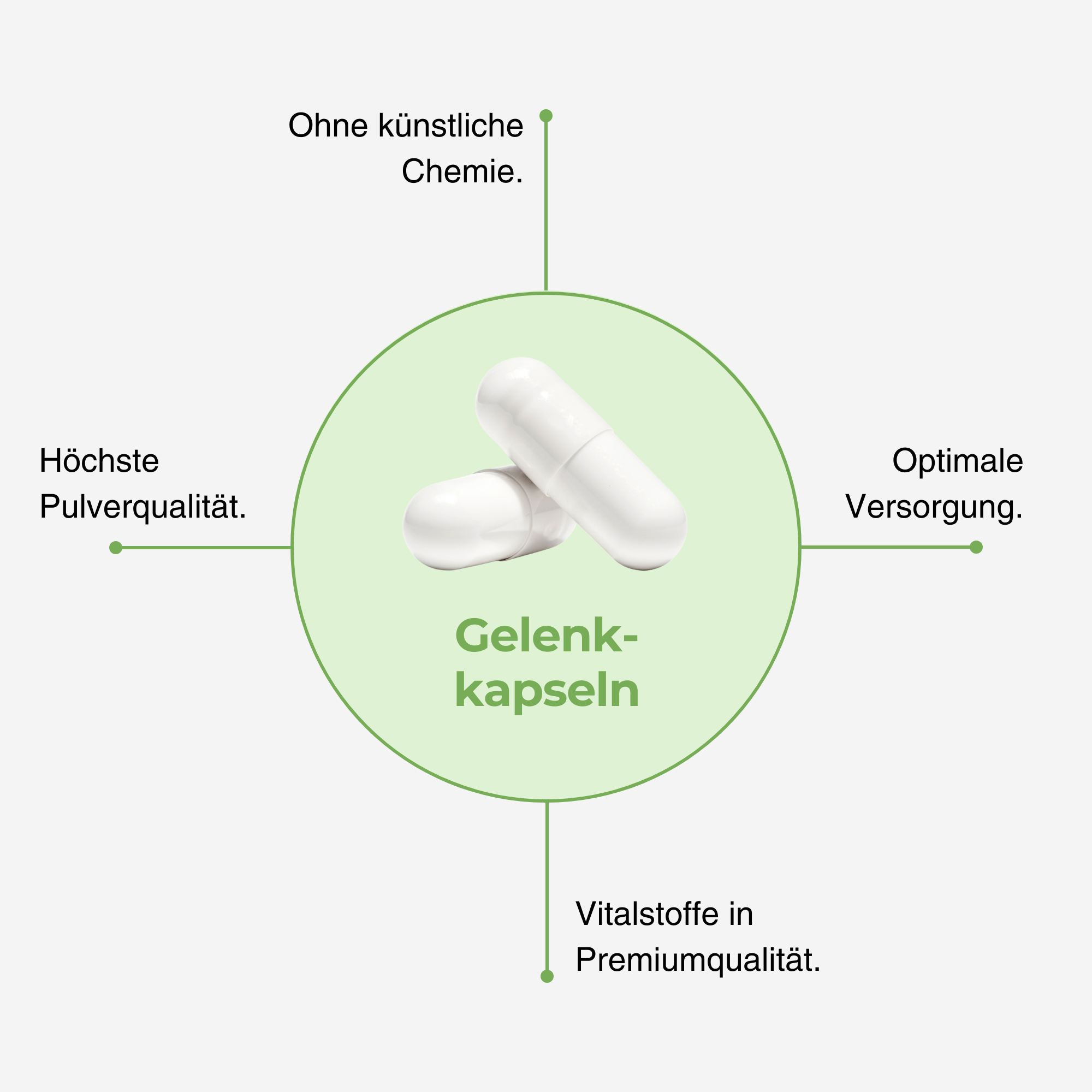 Gelenkkapseln