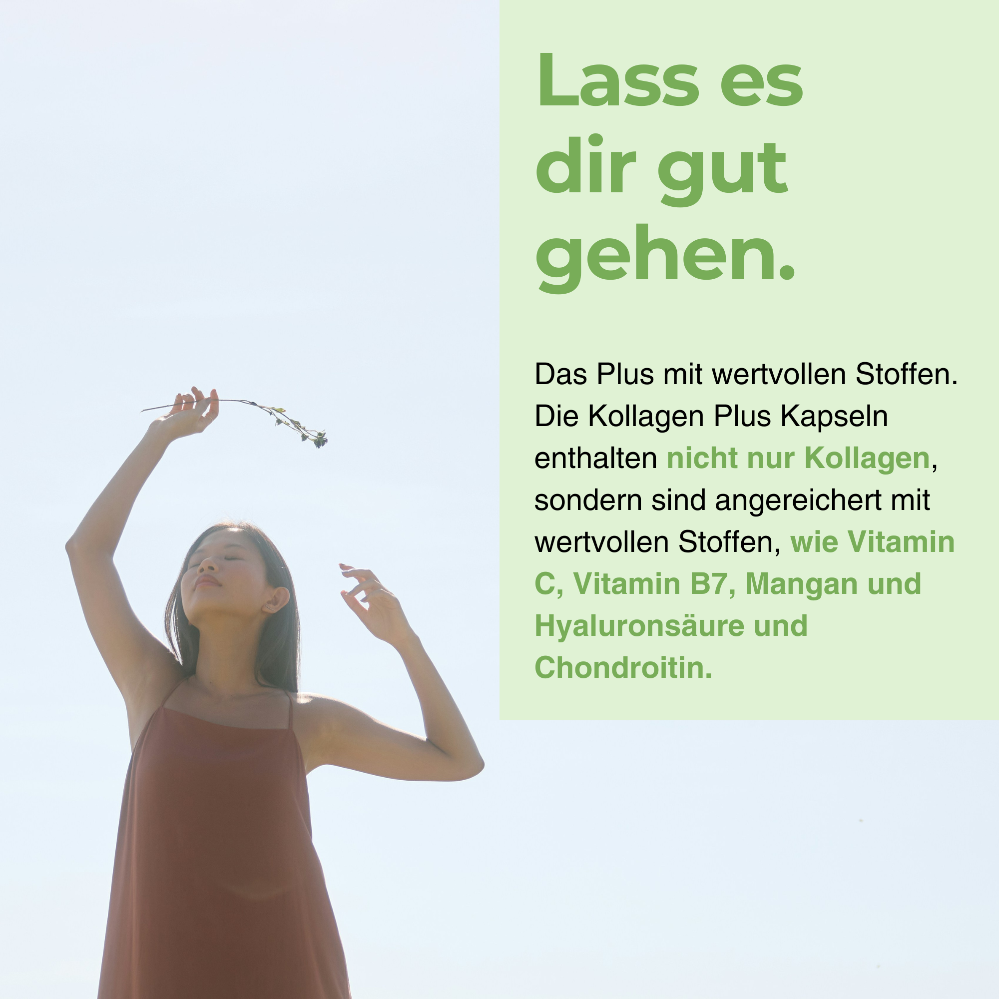 Kollagen Plus