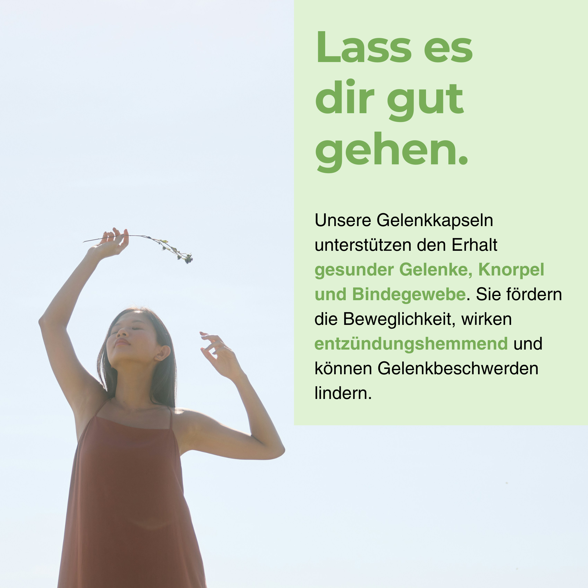 Gelenkkapseln