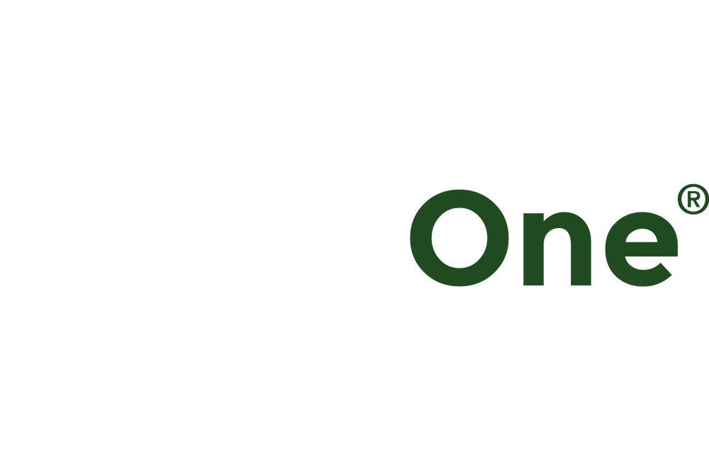 Logo VitaraOne Vitalstoffe Nahrungsergänzungsmittel