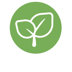 VitaraOne Vitalstoffe vegan